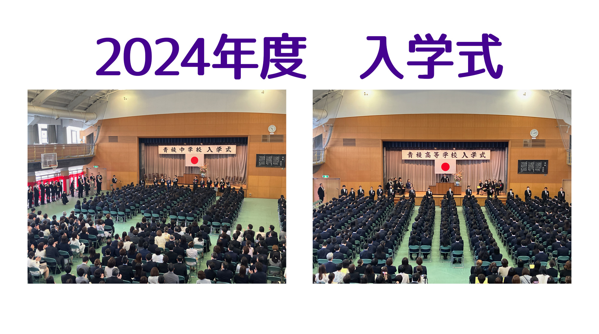 青稜Now! | 青稜中学校・高等学校