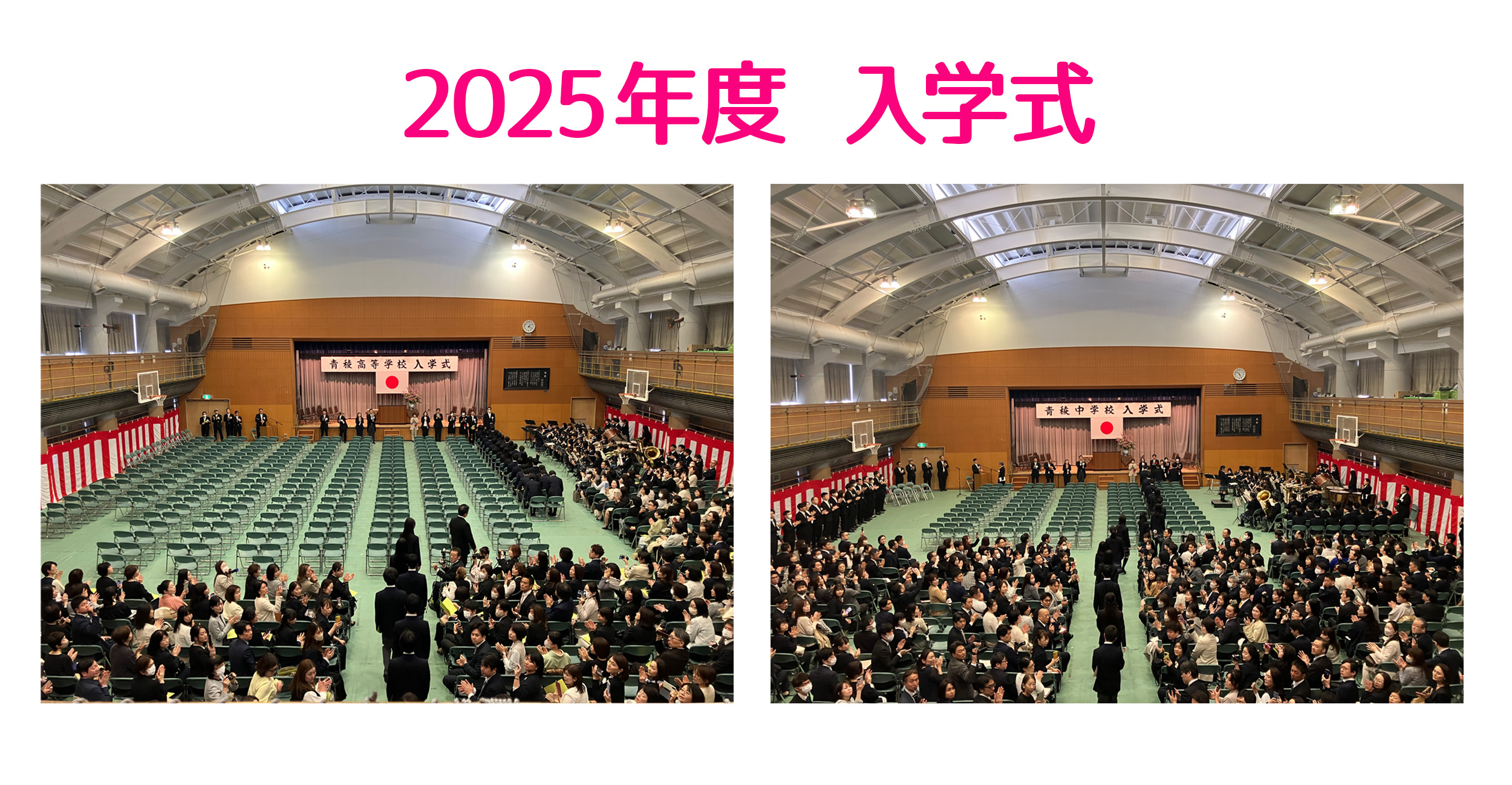 青稜Now! | 青稜中学校・高等学校